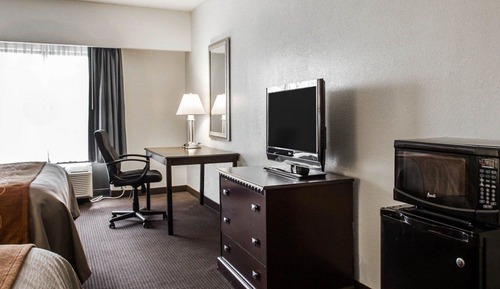Standard Suite, Multiple Beds (Studio Suite 2 queen beds w/ sofabed)