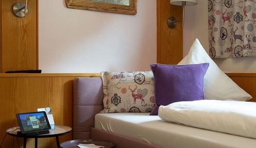 Traditional Single Room (Eichhörnchen)