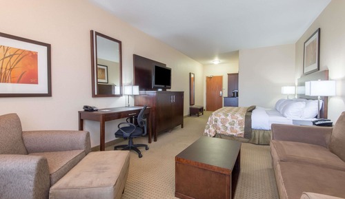 Standard Room, 1 King Bed, Non Smoking