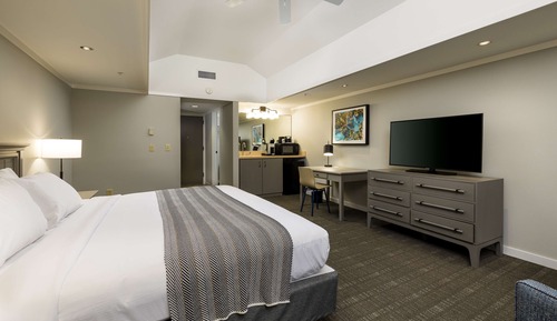 Room, 1 King Bed, Accessible, Golf View (Mobility & Hearing, Roll-in Shower)