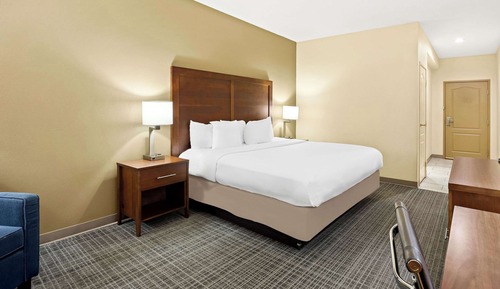 Standard Room, 1 King Bed, Non Smoking