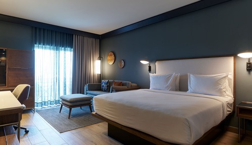 Room, 1 King Bed