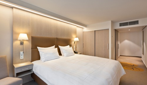 Executive Double Room (Wellness & Fitness Access)