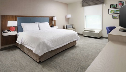 Room, 1 King Bed, Accessible, Bathtub