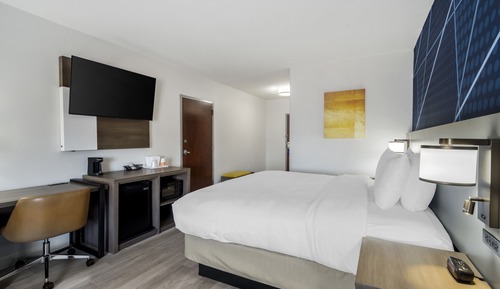 Standard Room, 1 King Bed with Sofa bed, Non Smoking