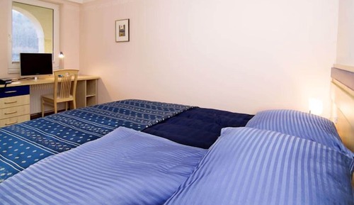 Room Cikorija
