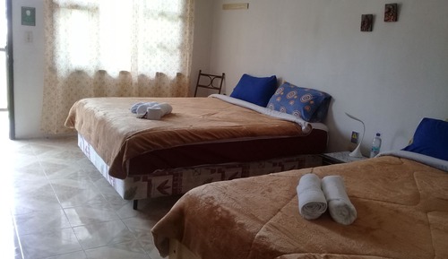Quadruple Room, 2 Double Beds