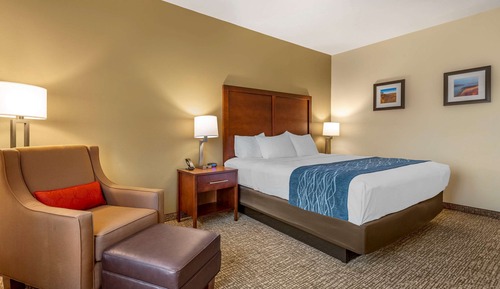 Standard Room, 1 King Bed, Non Smoking