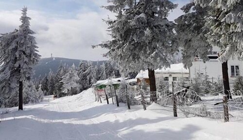 Basic Apartment, Private Bathroom, Mountain View (Hüttenzauber)