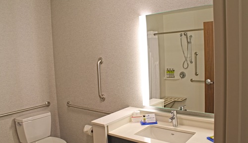 Standard Room, 1 King Bed, Accessible (Mobil Roll In Shwr)