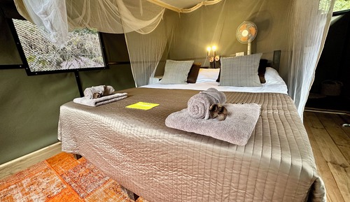 Classic Tent, River View