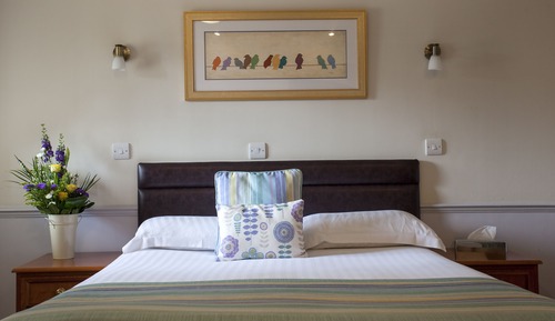 Room, 1 King Bed (Ground Floor)