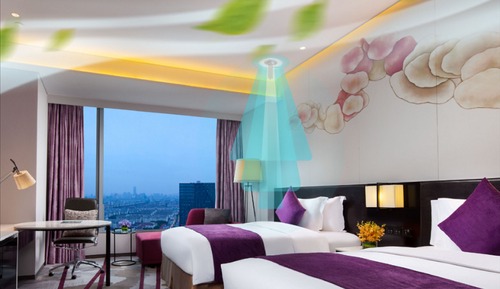 Standard Room, 2 Twin Beds, Accessible