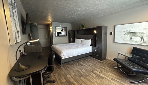 Room, 1 King Bed, Non Smoking