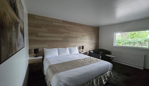 Single Room, 1 King Bed