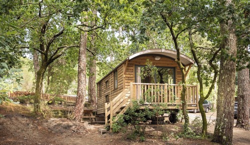 Mobile Home