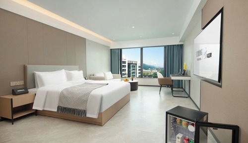 Basic Double Room