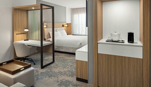 Studio Suite, 1 King Bed with Sofa bed (Hearing Accessible)
