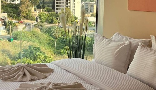 Luxury Apartment