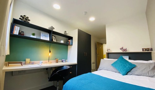 Single Room, Non Smoking