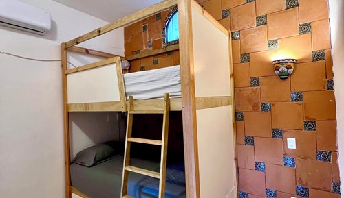 Classic Shared Dormitory