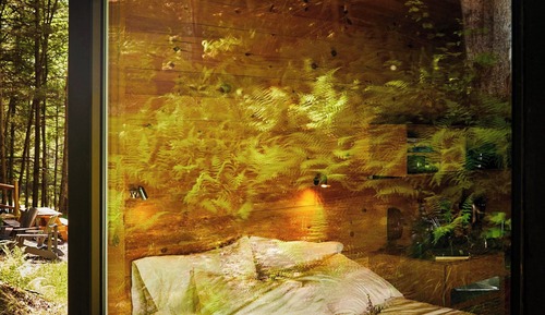 Cabin, 1 Queen Bed (View)