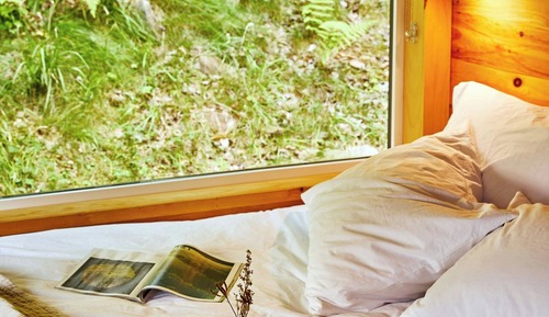 Cabin, 1 Queen Bed (View)