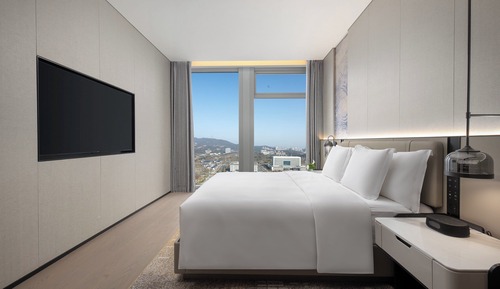 Suite, 1 Bedroom