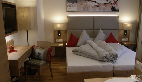 Double or Twin Room