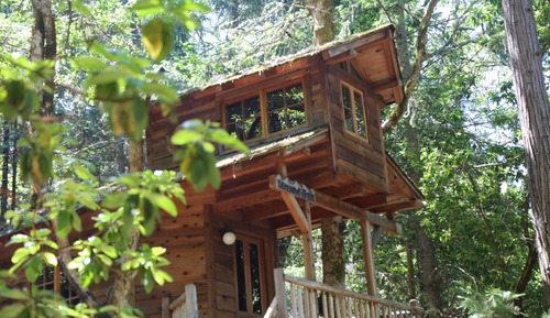 The Serendipitree
