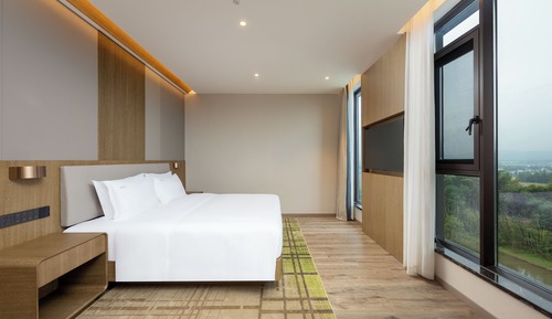 Suite, 1 King Bed, Mountain View