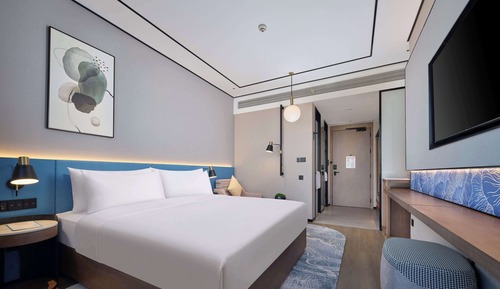 Room, 1 King Bed