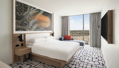 Room, 1 King Bed