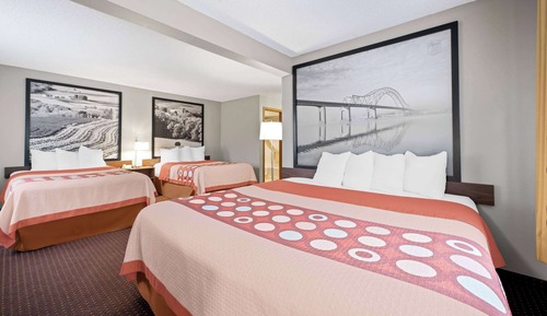 Studio Suite, Multiple Beds, Non Smoking