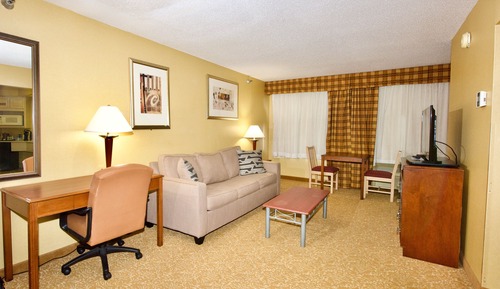 Suite, 1 King Bed