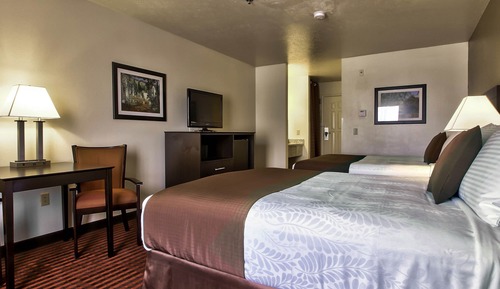 Standard Room, 1 King Bed, Non Smoking, Refrigerator
