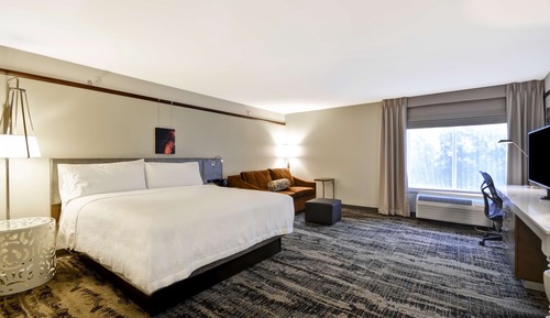 Room, 1 King Bed (Hearing)