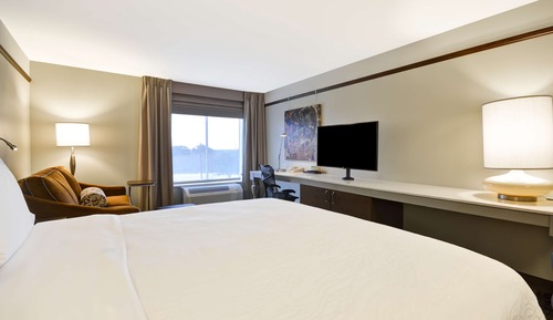 Room, 1 King Bed with Sofa bed
