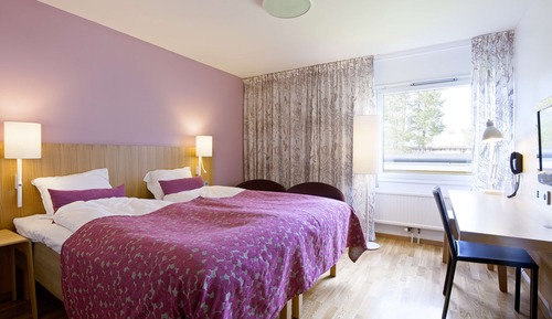 Room, 1 King Bed