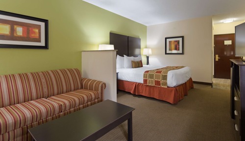 Suite, 1 King Bed, Non Smoking, Refrigerator & Microwave (with Sofabed)