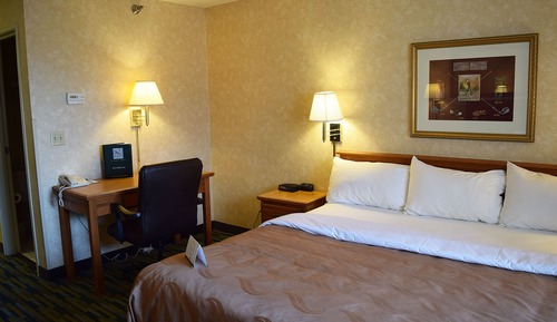 Standard Room, 1 King Bed, Non Smoking