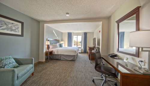 Room, 1 King Bed, Non Smoking (Mobility,Hearing,Bathtub w/ Grab Bars)
