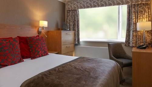 Standard Room, 1 Double Bed, Non Smoking