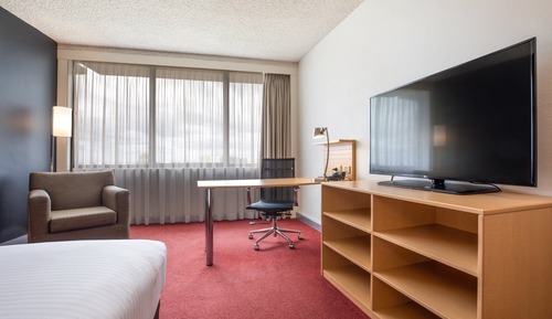 1 King Bed Premium
