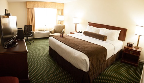Standard Room, 1 King Bed, Accessible (Exterior Access)