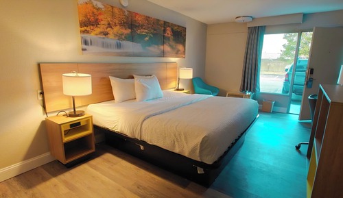 Room, 1 King Bed, Accessible, Non Smoking