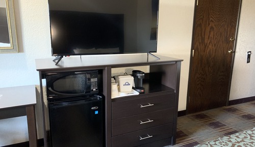 Suite, 1 Queen Bed, Refrigerator