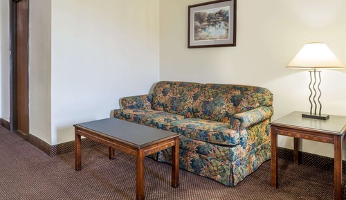 Suite, 1 King Bed, Refrigerator