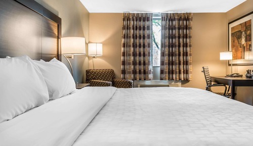 Standard Room, 1 King Bed, Non Smoking
