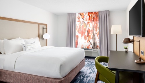 Room, 1 King Bed